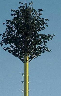 19437264_808433342650240_4049994740647233120_n