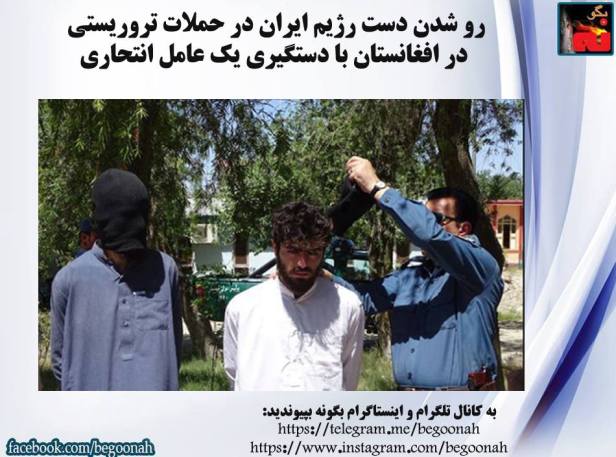 20728092_834386386721602_8862768689091687381_n