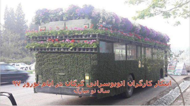 29570667_158572811630613_4432247868331358353_n