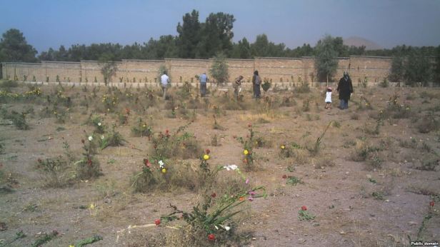 C4302F17-612D-4B9C-95EA-01579F2843B5_w1023_r1_s