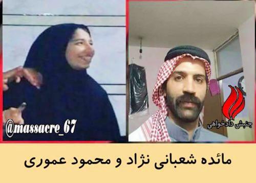 31444799_987693098057596_267849193078884954_n