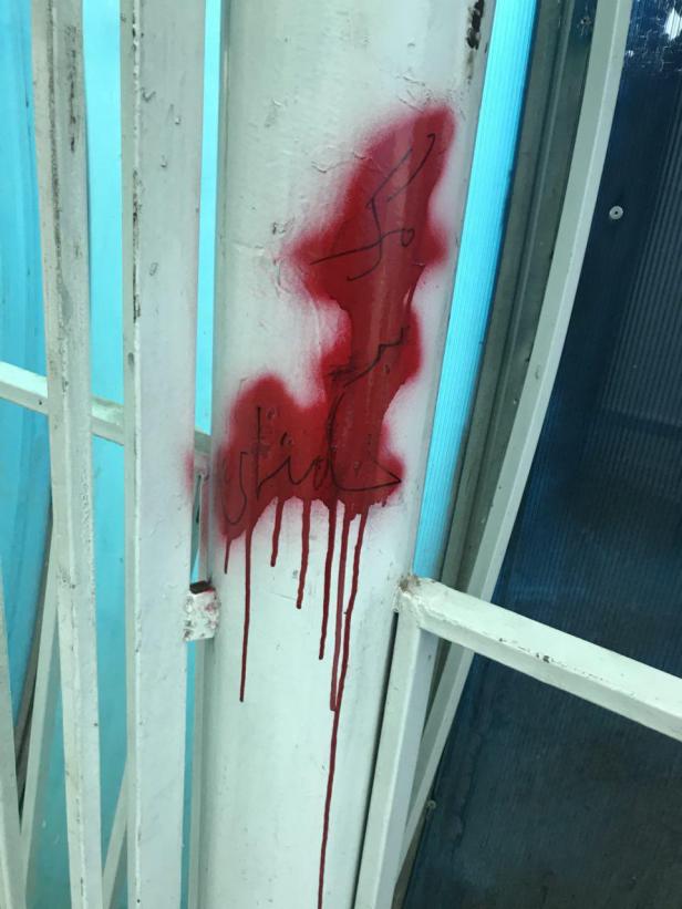 photo_2018-04-16_11-42-58