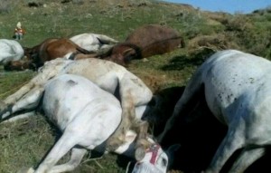 ^E831A002DB234015F95EA27FBA959494F7DE3A79AFF97BC2B9^pimgpsh_fullsize_distr-300x191