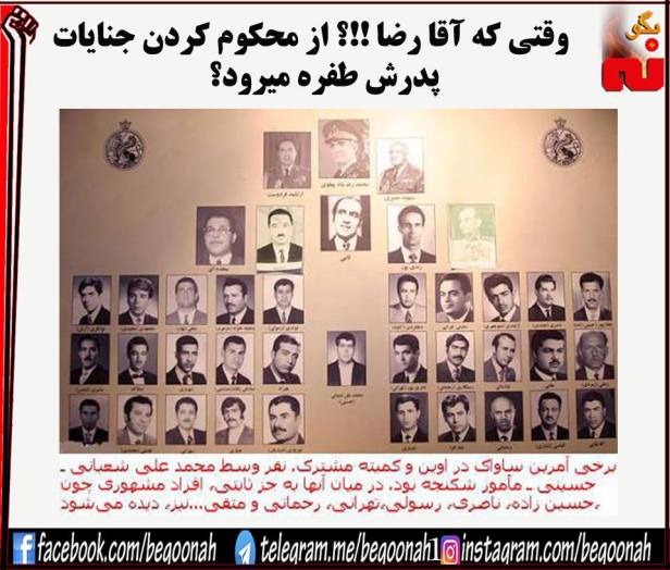 34118439_1006539126172993_8868529329282220032_n