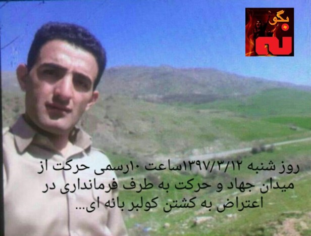 photo_2018-06-01_09-56-58