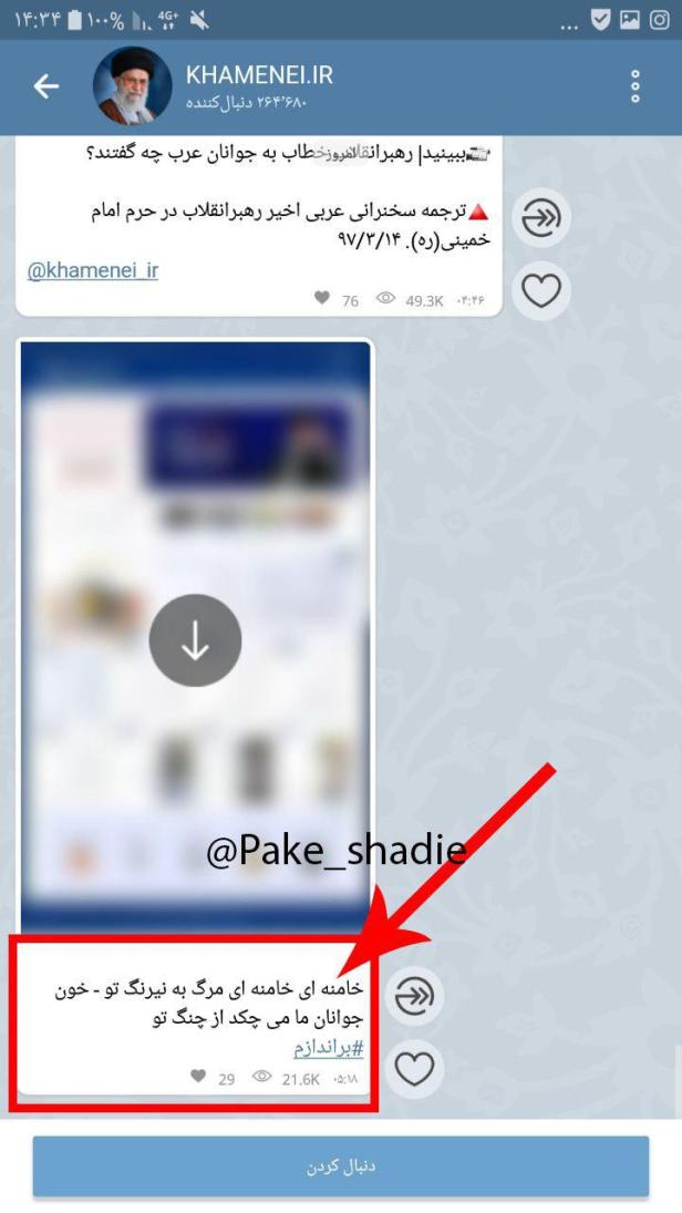 photo_2018-06-08_12-15-42