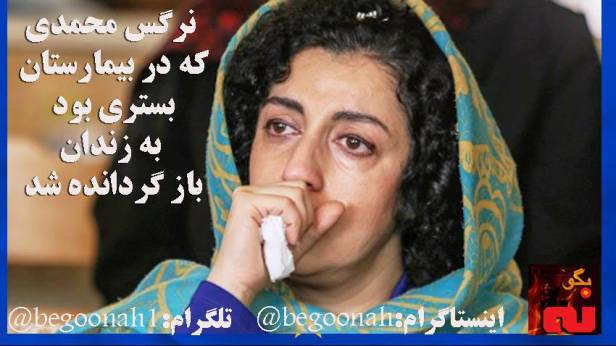 40104918_1095658190594419_9211206980075520000_n