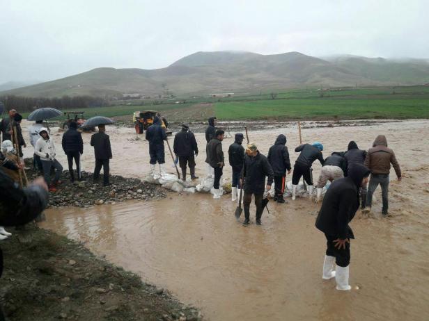 photo_2019-03-31_22-53-24