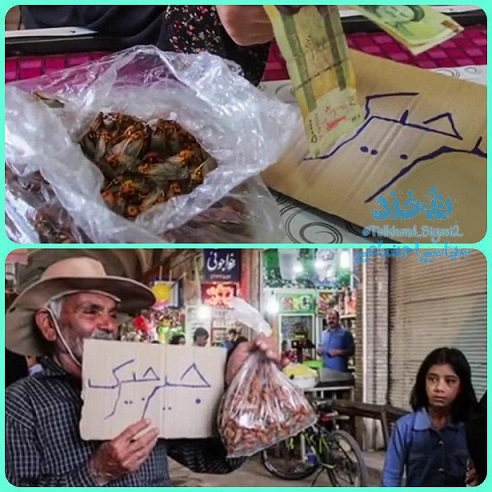 photo_2019-04-20_20-44-01