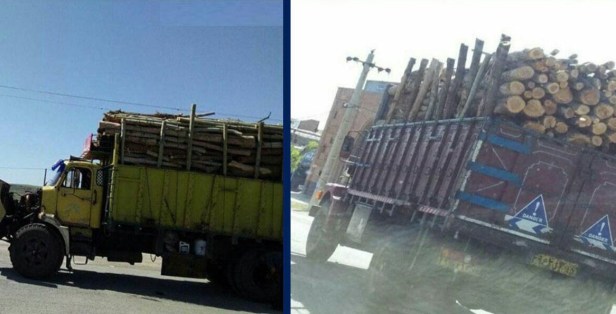 photo_2019-06-09_14-51-15