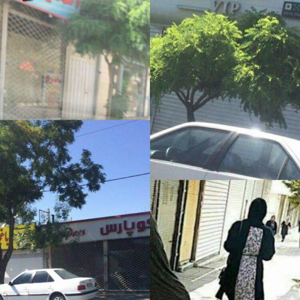 photo_2019-06-15_21-54-13