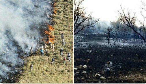 photo_2019-08-03_13-10-40