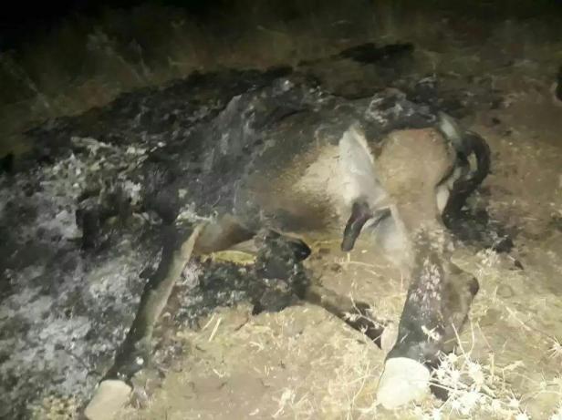 photo_2019-10-25_12-21-38