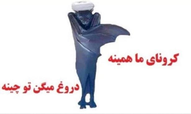 photo_2020-02-05_12-15-50