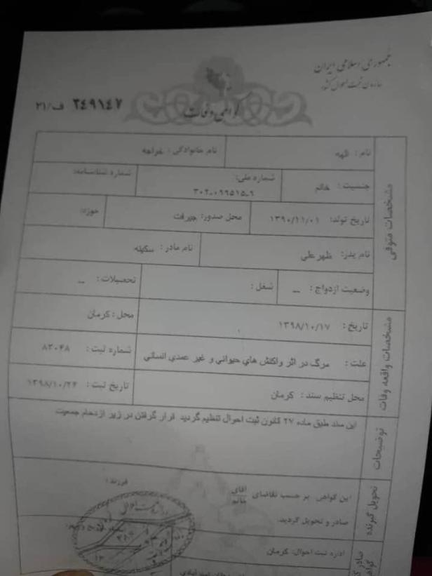 photo_2020-02-09_21-45-11