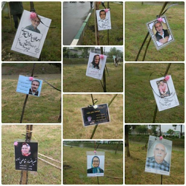 94652732_1565726283587605_53253462711861248_n