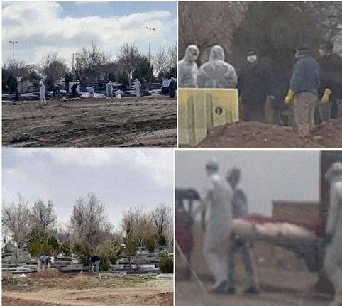 photo_2020-04-07_12-12-47