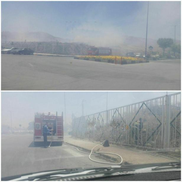 photo_2020-06-05_17-20-25